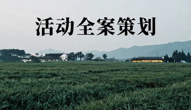 平面设计业务中数字内容创作的选型与使用建议